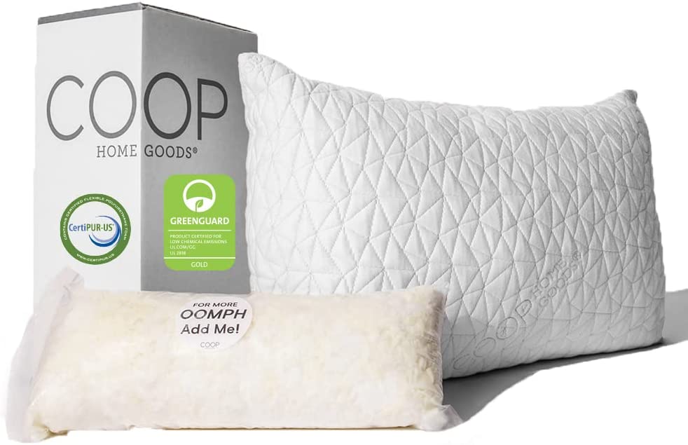 Coop Home Goods Queen Size Sleeping Bed Pillows for Senior individuals